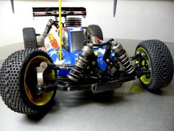 Team Losi 8ight 2.0 Canini Luca