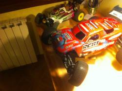 Letargo In Attesa Della Primav