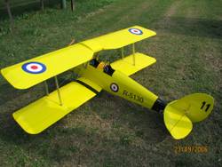 Tiger Moth