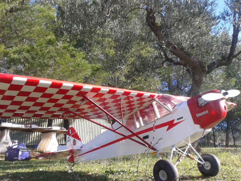 Piper Cub Clipped Wing  Sig Kit 1/4 Scala