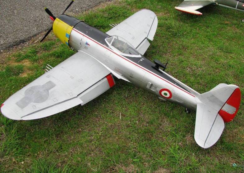 F-47d Cap. Pil. G. Pesce Com. 238^ Sq. - 101° Gr.