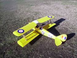 Tiger Moth 46