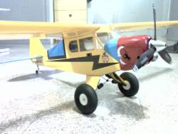 Piper J-3 Cub Con Le Alaskan Bushwheels