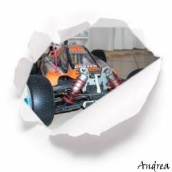 31832 Cster Fusion Ex 1