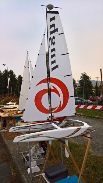 Catamarano Ac45 "alinghi"