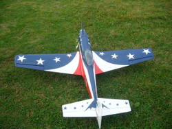 P 51 Hangar 9 + O.s. 91 Iii P