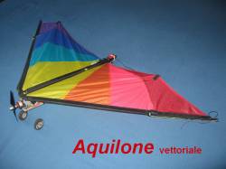 Aquilone Vettoriale