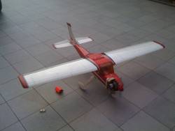 cessna 182 lion models