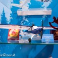Horizon Hobby - Novità Spielwarenmesse Toy Fair 2015 foto 1