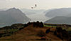 dove volare  sul lago d'iseo?-colombina.jpg