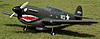 p-40 warhawk, pd51 e spitfire, quale si e quale no-222.jpg