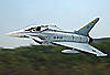 Coming Soon - Big Eurofighter Freewing-2009121111372825.jpg