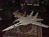 Nuovo modello da ventolizzare!!! F-14 TomCat prototipe-bild0700.jpg