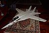 Nuovo modello da ventolizzare!!! F-14 TomCat prototipe-bild0697.jpg