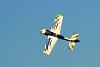 H-King Voltigeur MkII 3D EPO Aerobatic Plane 1220mm-3.jpg