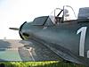 FW190-D9 maxi-img_4907li.jpg