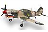 Warbirds FMS 1.4 m AA-p40.jpg