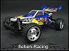Seben-Racing 1/10 Buggy BE2 BK11 4WD 2,4GHZ Fail Safe 2000NiMh RTR-seben.jpg