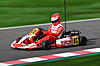 Kyosho racing kart birel-image.php.jpg