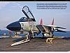 F-14 Tomcat, video stupendo in HD-imageuploadedbytapatalkhd1439336946.577859.jpg