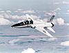 ringraziamento.-t-38talon_7.jpg