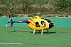 hughes md 500 600 align + T-rex 600 nitro-sab1.jpg