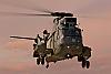 Sea King a turbina autocostruito-re-rosa.jpg