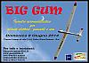 G.A.A.Pallini 8 Giugno big Gum-locandina-big-gum-2014-fiam-1280.jpg