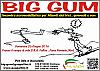 Fiano Romano - 26 Giugno 2016 - Big Gum-big-gum2016.jpg