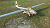 Blanik Eflite da 4,2 mt  Pilatus B4 da 3 mt-blanik-e-dolly.jpg