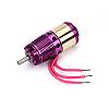 Elite 20 Brushless Motor-cylel20-250.jpg