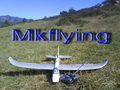 L'avatar di mkflying