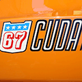 L'avatar di cuda67