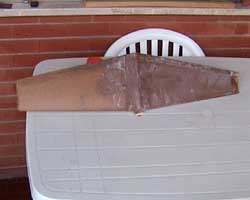 Le ali in fase di asciugatura